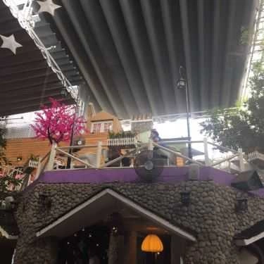 Tổng hợp- Đà Lạt Phố Cafe - Âu Cơ