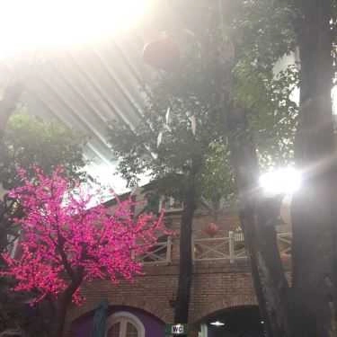 Tổng hợp- Đà Lạt Phố Cafe - Âu Cơ