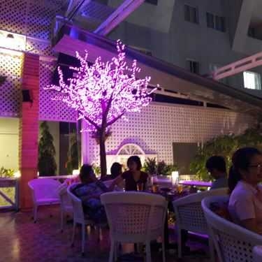 Tổng hợp- Đà Lạt Phố Cafe - Nguyễn Trãi