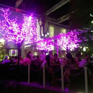 Tổng hợp- Đà Lạt Phố Cafe - Ung Văn Khiêm
