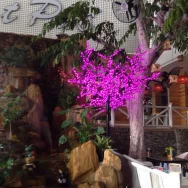 Tổng hợp- Đà Lạt Phố Cafe - Ung Văn Khiêm
