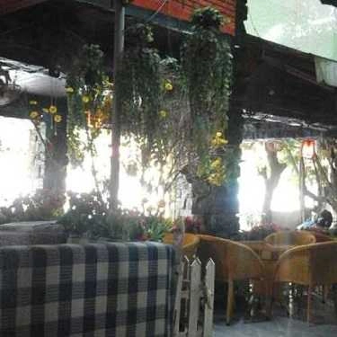 Không gian- Dã Quỳ Cafe