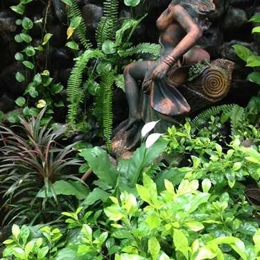 Tổng hợp- Dạ Thảo Cafe - Nguyễn Văn Bứa