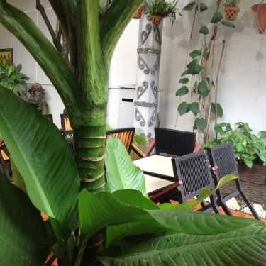Tổng hợp- Dạ Thảo Cafe - Nguyễn Văn Bứa