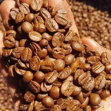 Tổng hợp- Đại Nguyên Coffee