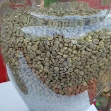 Tổng hợp- Đăk Land Coffee