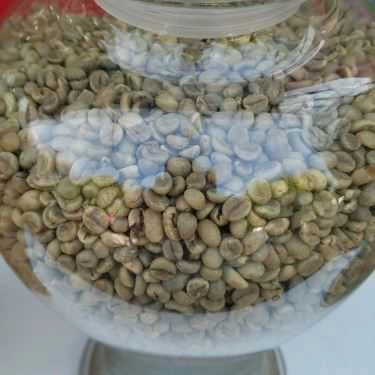 Tổng hợp- Đăk Land Coffee