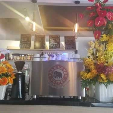 Tổng hợp- Đăk Land Coffee