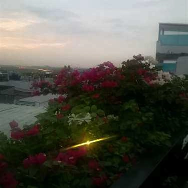 Tổng hợp- Đào Nguyên - Cafe Sân Thượng