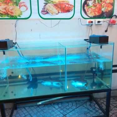 Tổng hợp- Quán Nhậu Đạt Quán - Hải Sản & Ốc