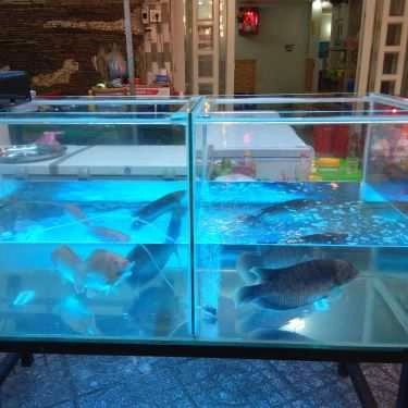 Tổng hợp- Quán Nhậu Đạt Quán - Hải Sản & Ốc