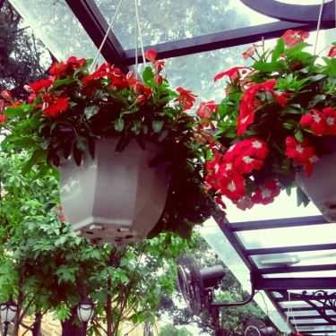 Tổng hợp- Tiệm Bánh Café De La Poste - Công Xã Paris