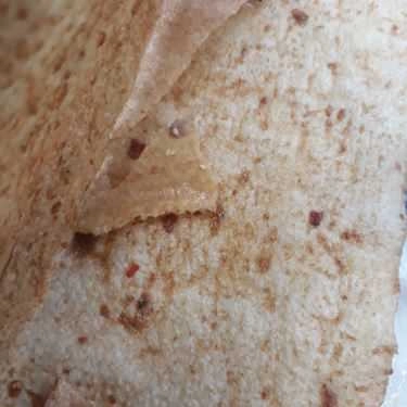 Món ăn- Bánh Tráng Mắm Ruốc Đà Lạt - Shop Online