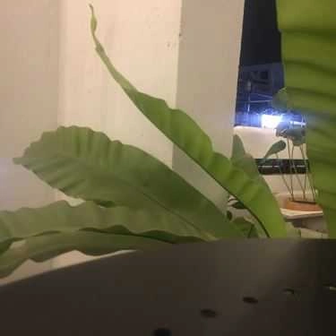 Tổng hợp- Đen Đá Cafe - Trà Sữa & Trà Đào - Nguyễn Gia Trí