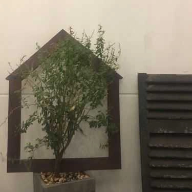 Tổng hợp- Đen Đá Cafe - Trà Sữa & Trà Đào - Nguyễn Gia Trí