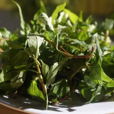 Tổng hợp- Đèn Dầu Quán - Trứng Vịt Lộn & Ăn Vặt