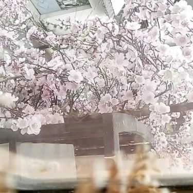 Tổng hợp- Des Fleur Cafe