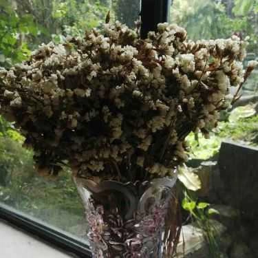 Tổng hợp- Địa Đàng Cafe
