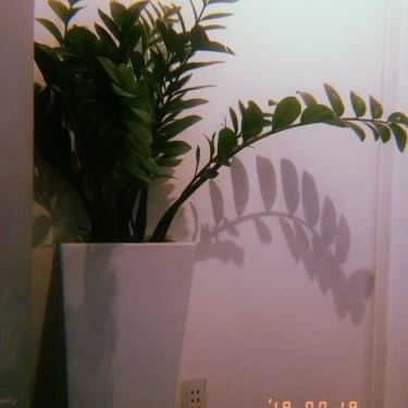 Tổng hợp- Cafe Ding Tea - Hoàng Diệu 2