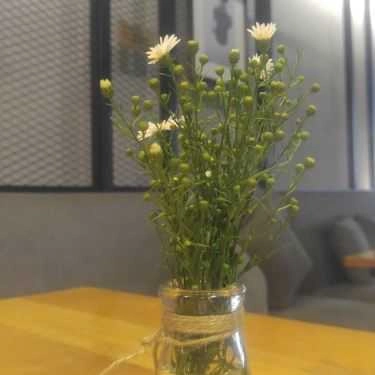 Tổng hợp- Đỉnh Tea & Coffee Saigon