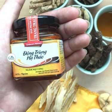 Tổng hợp- Đông Trùng Hạ Thảo Trang Trại Xanh - Shop Online