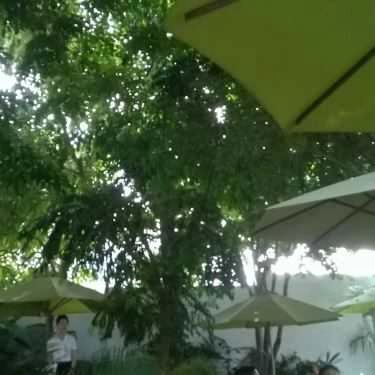 Tổng hợp- Đồng Xanh Cafe - Lê Đức Thọ