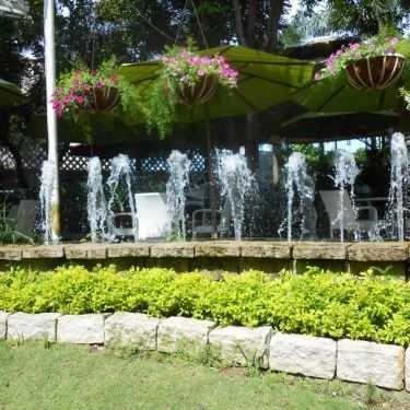 Tổng hợp- Đồng Xanh Cafe - Lê Đức Thọ