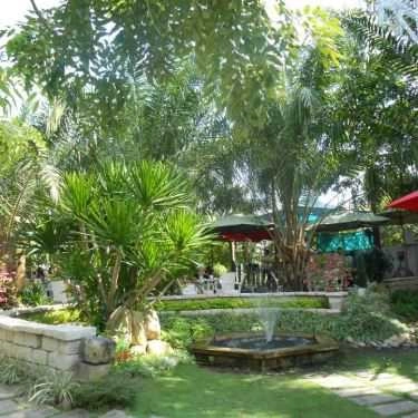 Tổng hợp- Đồng Xanh Cafe - Lê Đức Thọ
