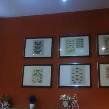 Tổng hợp- Draphoe Cafe & Bistro - Mạc Đĩnh Chi
