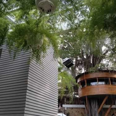 Tổng hợp- Du Miên Garden Cafe - Phan Văn Trị