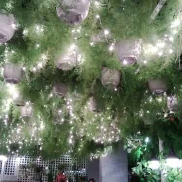 Tổng hợp- Du Miên Garden Cafe - Phan Văn Trị