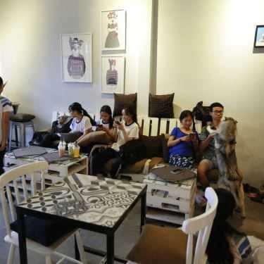 Không gian- Duthe Pet House Coffee - Trung Chánh