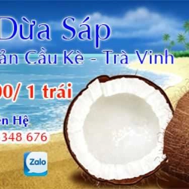 Tổng hợp- Dừa Sáp Cầu Kè - Shop Online