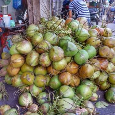 Tổng hợp- Ăn vặt Dừa Xiêm & Rau Câu Trái Dừa