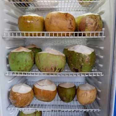Tổng hợp- Ăn vặt Dừa Xiêm & Rau Câu Trái Dừa