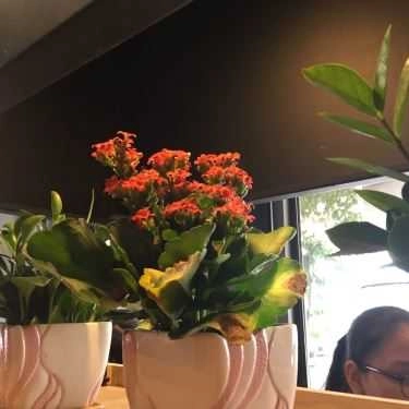 Tổng hợp- Effoc Cafe - Lũy Bán Bích