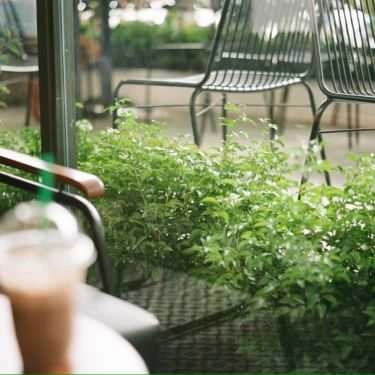 Tổng hợp- Effoc Cafe - Nguyễn Văn Quá