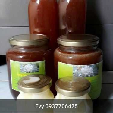 Tổng hợp- Evybee - Nature Honey - Shop Online