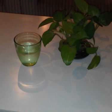 Tổng hợp- The Cara House Coffee