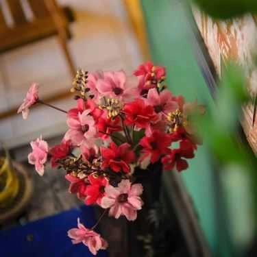 Tổng hợp- Fale Coffee - Cây Trâm