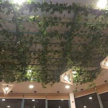 Tổng hợp- Lafam Café
