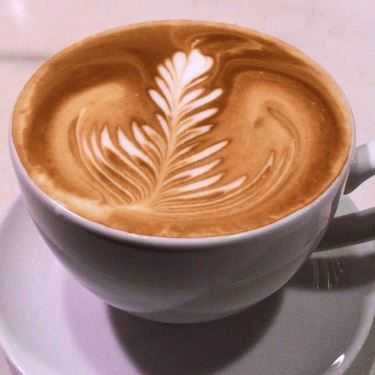 Tổng hợp- FiB Dump Coffee - Lê Bình