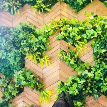 Tổng hợp- Fika Cafe - Đồng Đen