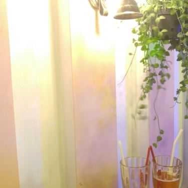 Tổng hợp- Fins Coffee - Cây Trâm