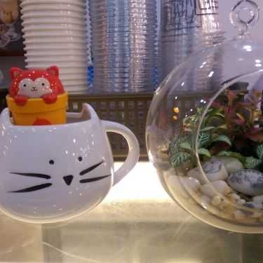 Tổng hợp- Flat White Coffee, Teas & Cakes