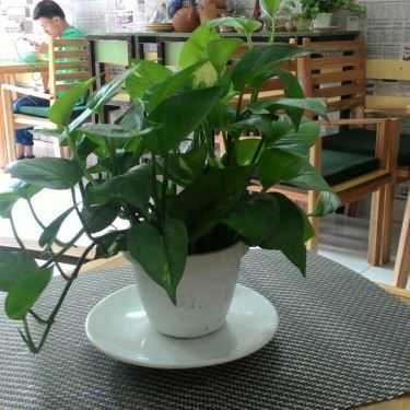 Tổng hợp- Cafe Râu Kafe