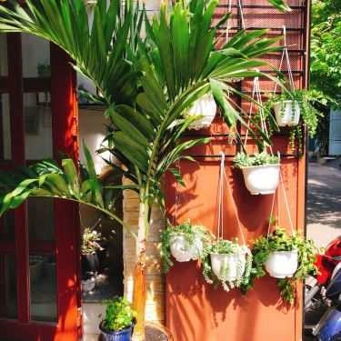 Tổng hợp- Floberry - Cafe & Cơm Văn Phòng