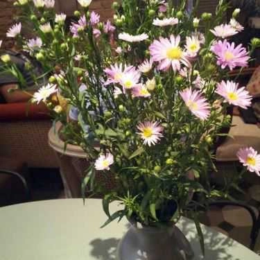 Tổng hợp- Cafe Fly Cupcake Garden - Tú Xương