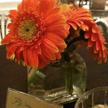 Tổng hợp- Cafe Fly Cupcake Garden - Tú Xương