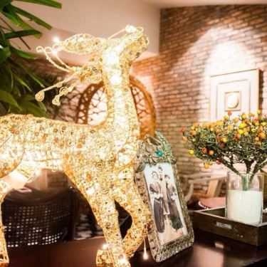 Tổng hợp- Kem Goody Fly Garden - Coffee & Cupcake